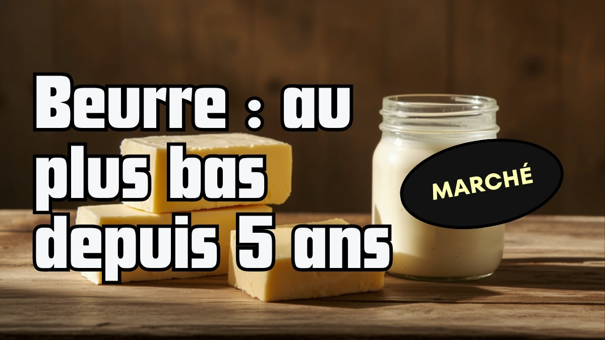 Beurre : des cours au plus bas depuis 5 ans, ce que le retournement change pour l’artisan laitier