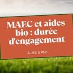 Prairie verte avec vaches laitieres Holstein, MAEC et aides bio