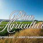 Paysage agricole mediterraneen, Plan Agriculture Mediterranee