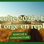 Moissonneuse-batteuse dans un champ de ble en France, recolte 2026
