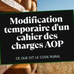 Meules de fromage AOP en cave d affinage et prairie seche en ete