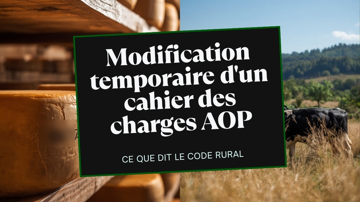 AOP et aléa climatique : comment fonctionne la modification temporaire d&rsquo;un cahier des charges