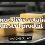 Plaques de beurre artisanal sur un plan de travail en inox de laiterie