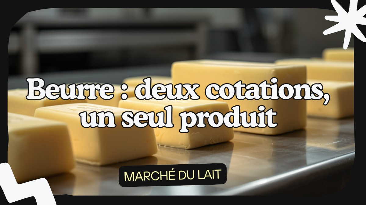 Beurre : 3 997 ou 4 135 euros la tonne ? Les deux cotations FranceAgriMer viennent de se croiser