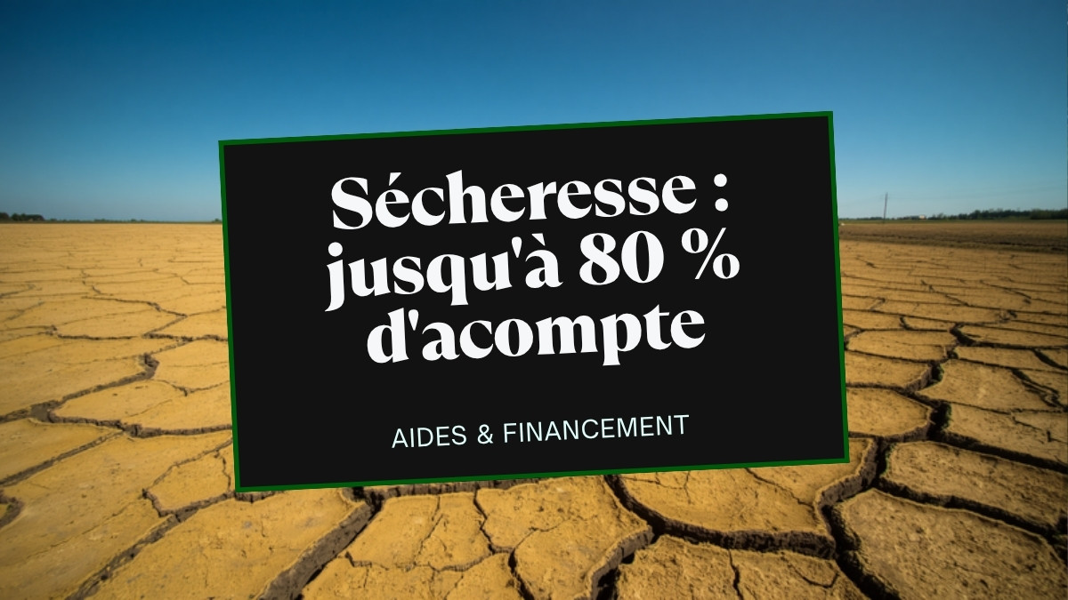 Sécheresse : les assureurs peuvent verser jusqu&rsquo;à 80 % d&rsquo;acompte aux agriculteurs assurés